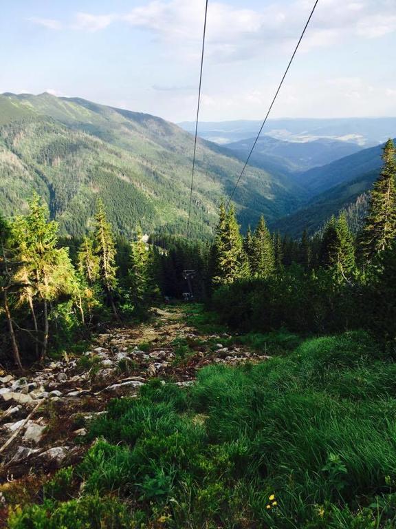 Chata Kosodrevina - Turisticka Ubytovna Tale Dış mekan fotoğraf