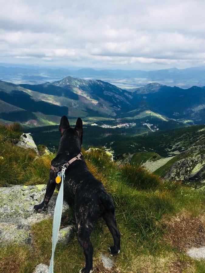 Chata Kosodrevina - Turisticka Ubytovna Tale Dış mekan fotoğraf